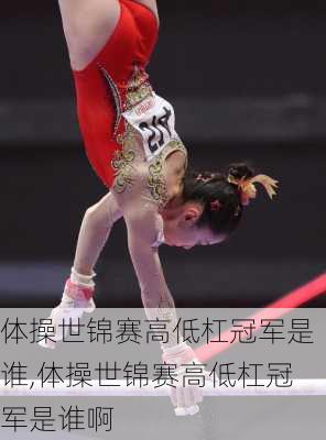 体操世锦赛高低杠冠军是谁,体操世锦赛高低杠冠军是谁啊