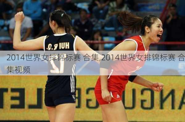 2014世界女排锦标赛 合集,2014世界女排锦标赛 合集视频