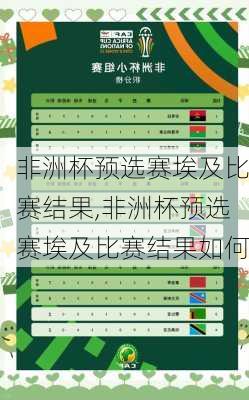 非洲杯预选赛埃及比赛结果,非洲杯预选赛埃及比赛结果如何
