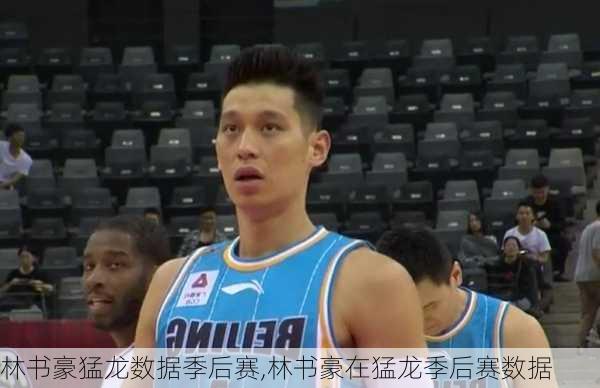 林书豪猛龙数据季后赛,林书豪在猛龙季后赛数据