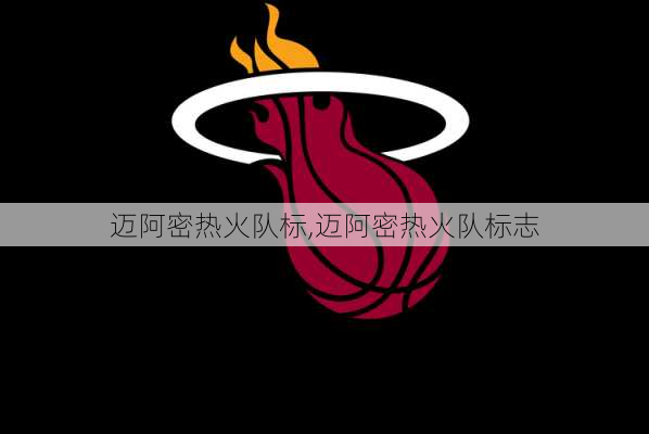 迈阿密热火队标,迈阿密热火队标志