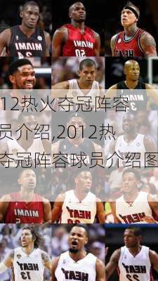 2012热火夺冠阵容球员介绍,2012热火夺冠阵容球员介绍图片