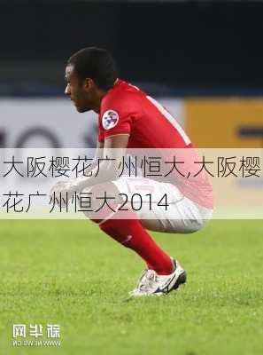 大阪樱花广州恒大,大阪樱花广州恒大2014