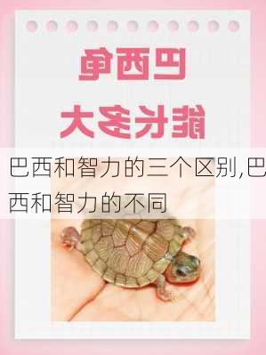 巴西和智力的三个区别,巴西和智力的不同