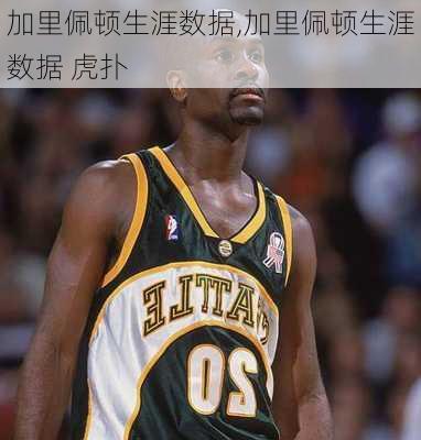 加里佩顿生涯数据,加里佩顿生涯数据 虎扑