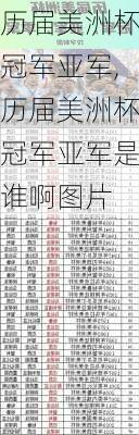 历届美洲杯冠军亚军,历届美洲杯冠军亚军是谁啊图片