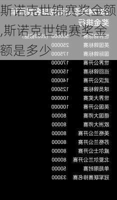 斯诺克世锦赛奖金额,斯诺克世锦赛奖金额是多少
