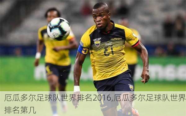 厄瓜多尔足球队世界排名2016,厄瓜多尔足球队世界排名第几