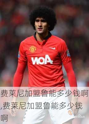 费莱尼加盟鲁能多少钱啊,费莱尼加盟鲁能多少钱啊