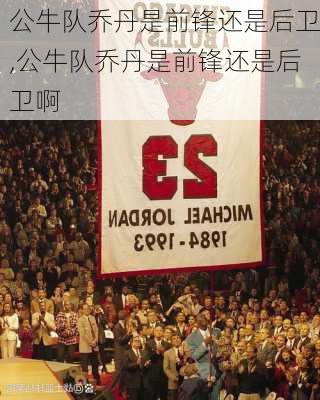 公牛队乔丹是前锋还是后卫,公牛队乔丹是前锋还是后卫啊