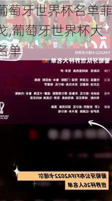 葡萄牙世界杯名单菲戈,葡萄牙世界杯大名单