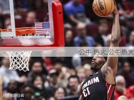 公牛 热火,公牛热火