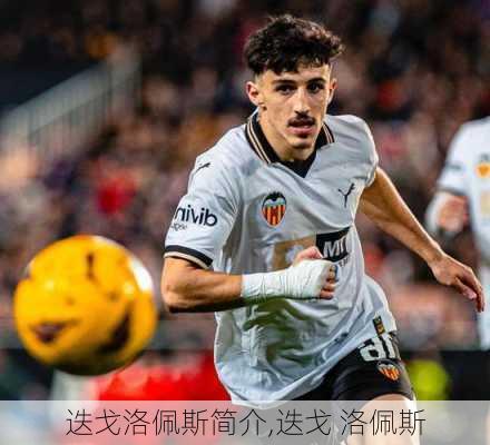 迭戈洛佩斯简介,迭戈 洛佩斯
