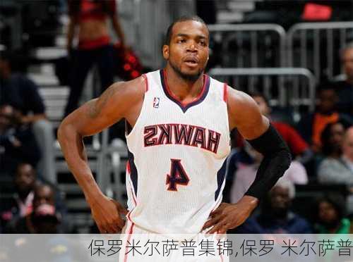 保罗米尔萨普集锦,保罗 米尔萨普