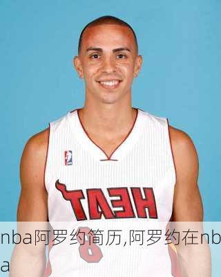 nba阿罗约简历,阿罗约在nba