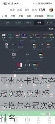 亚洲杯卡塔尔夺冠次数,亚洲杯卡塔尔夺冠次数排名