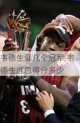 韦德生涯几个冠军,韦德生涯总得分多少