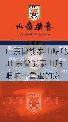 山东鲁能泰山贴吧,山东鲁能泰山贴吧唯一鲁蜜的家