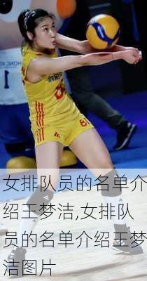 女排队员的名单介绍王梦洁,女排队员的名单介绍王梦洁图片