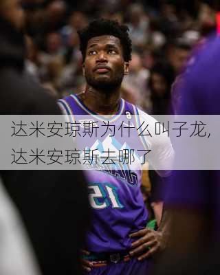 达米安琼斯为什么叫子龙,达米安琼斯去哪了