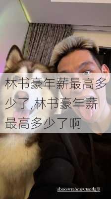 林书豪年薪最高多少了,林书豪年薪最高多少了啊