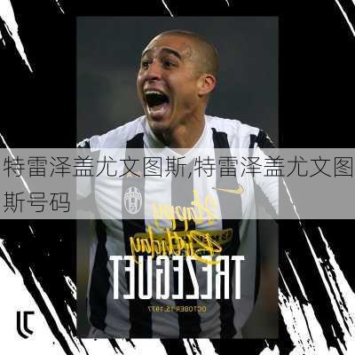 特雷泽盖尤文图斯,特雷泽盖尤文图斯号码