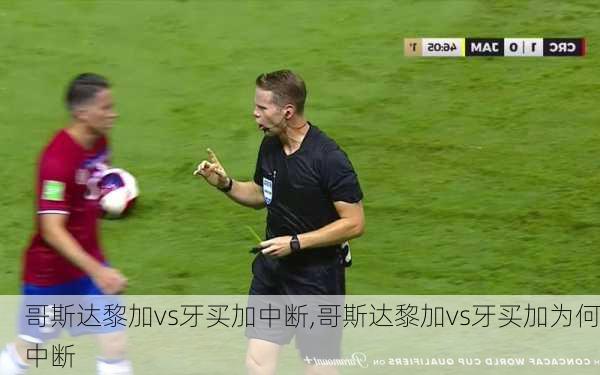 哥斯达黎加vs牙买加中断,哥斯达黎加vs牙买加为何中断