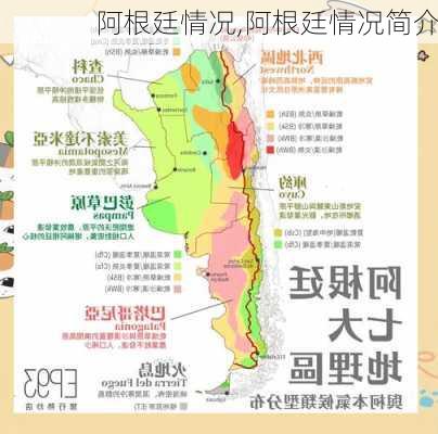 阿根廷情况,阿根廷情况简介