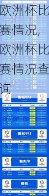 欧洲杯比赛情况,欧洲杯比赛情况查询