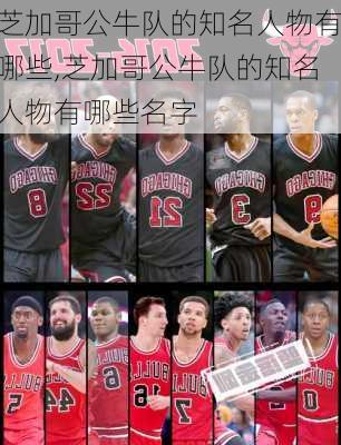 芝加哥公牛队的知名人物有哪些,芝加哥公牛队的知名人物有哪些名字