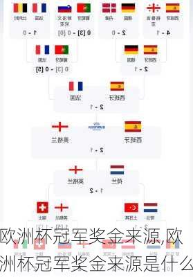 欧洲杯冠军奖金来源,欧洲杯冠军奖金来源是什么