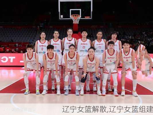 辽宁女篮解散,辽宁女篮组建