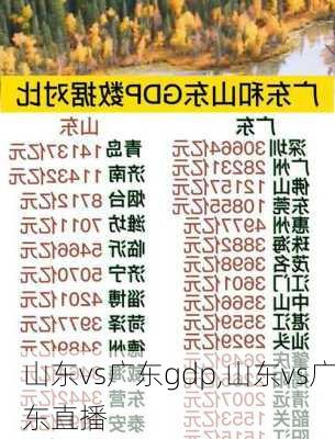 山东vs广东gdp,山东vs广东直播