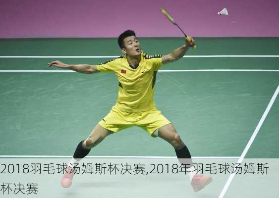 2018羽毛球汤姆斯杯决赛,2018年羽毛球汤姆斯杯决赛