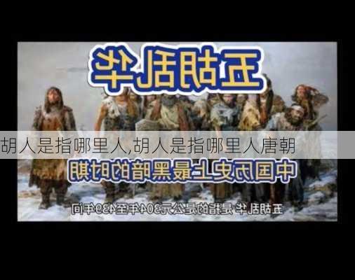 胡人是指哪里人,胡人是指哪里人唐朝