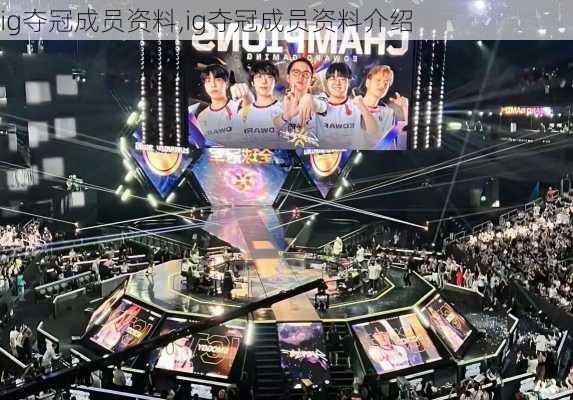 ig夺冠成员资料,ig夺冠成员资料介绍