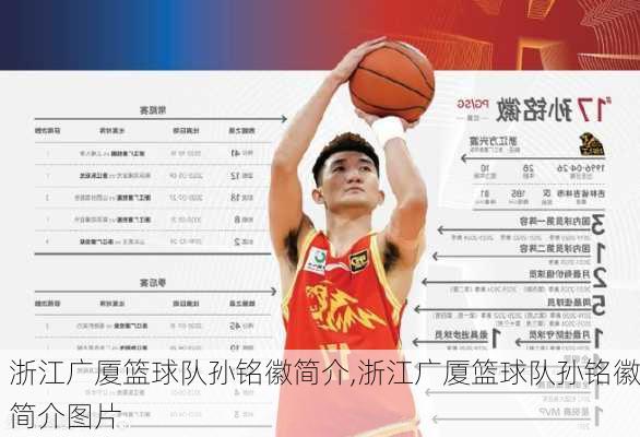 浙江广厦篮球队孙铭徽简介,浙江广厦篮球队孙铭徽简介图片