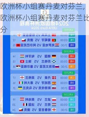 欧洲杯小组赛丹麦对芬兰,欧洲杯小组赛丹麦对芬兰比分