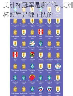 美洲杯冠军是哪个队,美洲杯冠军是哪个队的