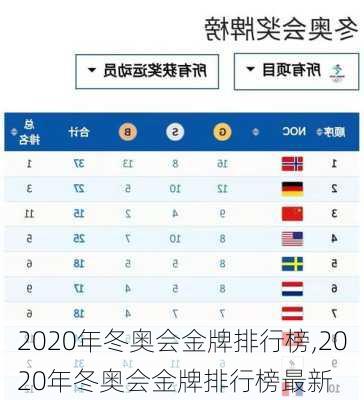 2020年冬奥会金牌排行榜,2020年冬奥会金牌排行榜最新