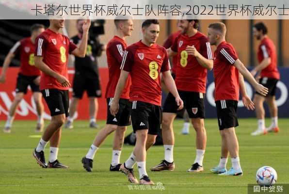 卡塔尔世界杯威尔士队阵容,2022世界杯威尔士