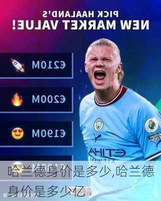 哈兰德身价是多少,哈兰德身价是多少亿