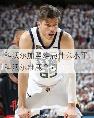 科沃尔加盟雄鹿什么水平,科沃尔雄鹿合同