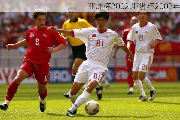 亚洲杯2002,亚洲杯2002年