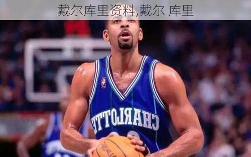 戴尔库里资料,戴尔 库里