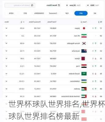 世界杯球队世界排名,世界杯球队世界排名榜最新