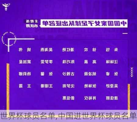 世界杯球员名单,中国进世界杯球员名单