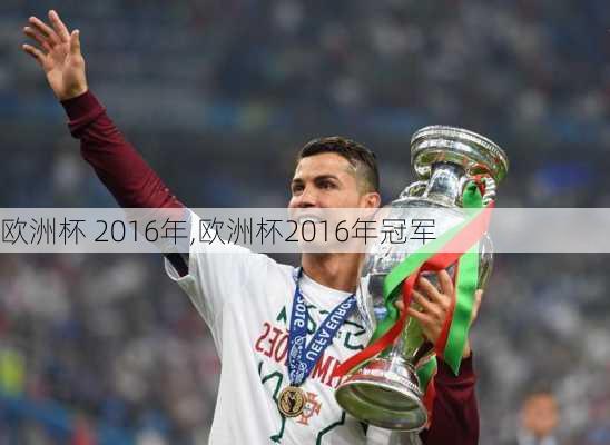 欧洲杯 2016年,欧洲杯2016年冠军