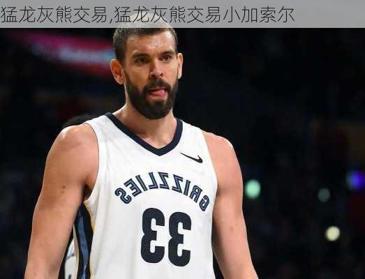 猛龙灰熊交易,猛龙灰熊交易小加索尔