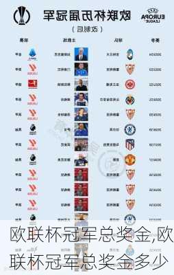 欧联杯冠军总奖金,欧联杯冠军总奖金多少
